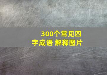 300个常见四字成语 解释图片